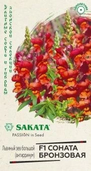 00040871_Львиный зев Соната бронзовая 10 шт Саката