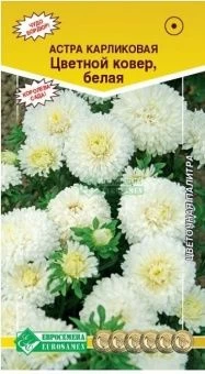 00041649_Астра Цветной ковер белая карликовая 0,1г