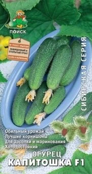 00021468_Огурец Капитошка F1 серия Сибирская 12шт 