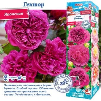 aeyuvbqylkdmynbkbqskdqz7mswczlp6