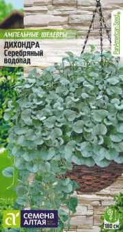 00027696_Дихондра Серебряный Водопад 3шт серия Амп