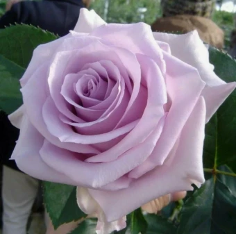 Снимок экрана 2025-08-07 084817