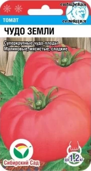 00012042_Томат Чудо Земли 20шт (Сиб. сад)