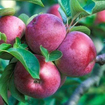 31947c7c26c658b1f36937e841fe394c