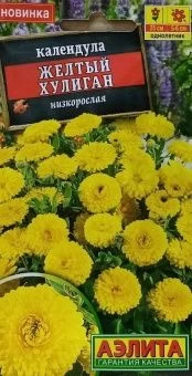 00026819_Календула Желтый хулиган (Аэлита)