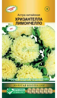 1v9pyvsolg3a23r8zh8qm2v0pwx7i7n4