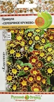 00004683_Примула Серебряное кружево (НК)