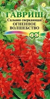 00007975_Сальвия Огненное волшебство (Гавриш) 1_80