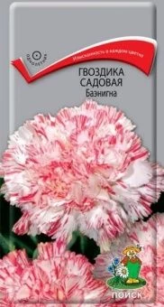 00030749_Гвоздика садовая Баэнигна 0,1г (ПОИСК)