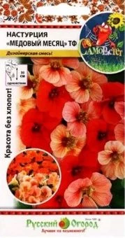 00006317_Настурция Медовый месяц смесь (НК)_result