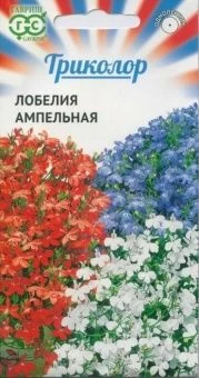 00024951_Лобелия Триколор смесь ампельная (Гавриш)