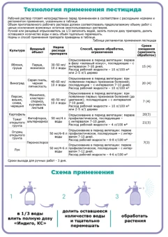 Снимок1