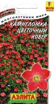 00001998_Камнеломка Цветочный ковер (Аэлита)