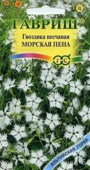00013651_Гвоздика Морская пена песчаная (Гавриш)