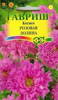 00007908_Космея Розовая долина махровый (Гавриш) 1