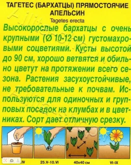 Бархатцы Апельсин прямостоячие (Аэлита) (2)