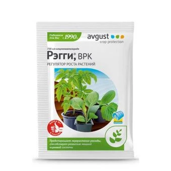 00024489_Рэгги 1мл 1_200 (Август)