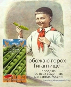 foi573wv6x1bad4hdioz7u81uqn4h3y1