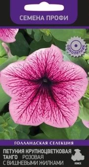 00027764_Петуния Танго розовая с вишневыми жилками