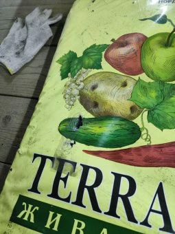 photo_2026-03-12_11-20-53