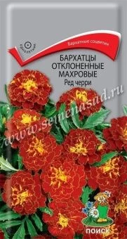 00030390_Бархатцы Ред черри отклоненные махровые  