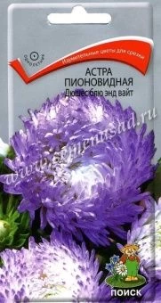 00033915_Астра Дюшес Блю Энд Вайт 0,3г (ПОИСК)