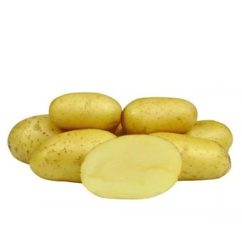 ЦБ-00026634_Картофель Колетте элита белооклубневый раннеспелый сетка 30кг 2 (РЕ)