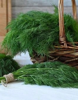 45dutk2vphmakf1jxfzv3aeyv99b2ohi