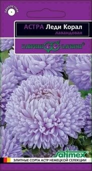00009410_Астра Леди Корал лавандовая (Гавриш)