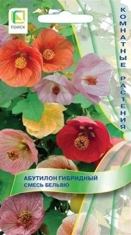 abutilon_gibrid_smes_belviu