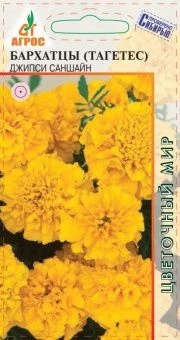 бархатцы джипси саншайн