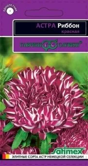00009417_Астра Риббон красная (Гавриш) 1_1200