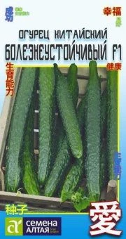 00035700_Огурец Китайский Болезнеустойчивый Китайс