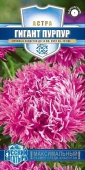 00024948_Астра Гигант Пурпур 0,1г серия Русский бо