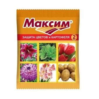 00002653_Максим, 2 мл 1_200 (В_Х)