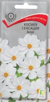 00041087_Космея Сенсация Белая  0,3гр (ПОИСК)