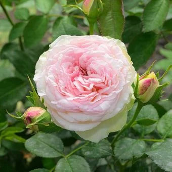 u9vfc6up358pftv6shw8qhmrs1toeo08