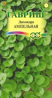 dixondra_ampelnaya-st_mini4