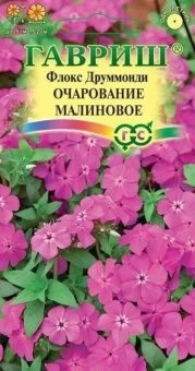 00013151_Флокс Очарование малиновое друммонда (Гав