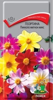 00039921_Георгина Пикколо мигнон микс  0,3гр (ПОИС