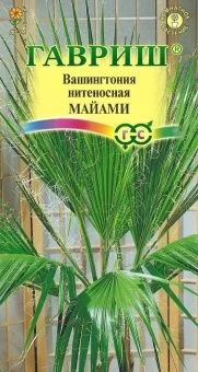 00015885_Вашингтония Майами нитеносная (Гавриш) 1_500