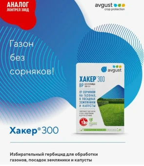 Хакер 300 (Август)