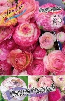 00039575_Ранункулюс Пикоти Розовый 10шт (КолорЛайн