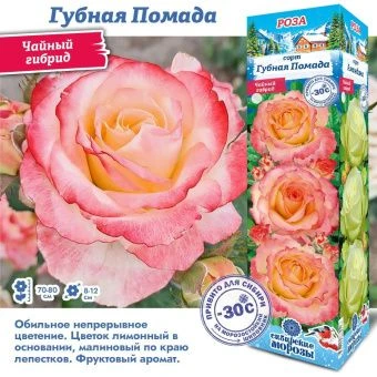 d5ejopoy9ss5ixzkq10thegpitr6ciq4