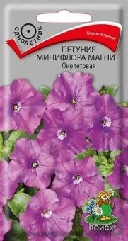 00021407_Петуния Магнит Фиолетовая минифлора 10шт 