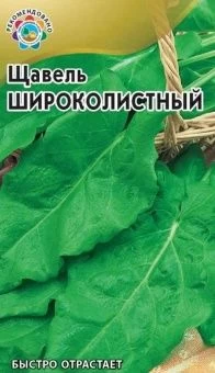 00008222_Щавель Широколистный (Гавриш) 1_700