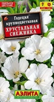00013474_Годеция Хрустальная снежинка (Аэлита)