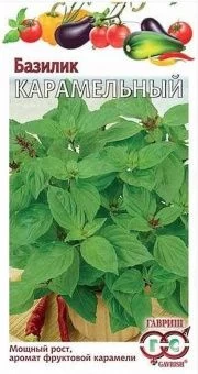 00011442_Базилик Карамельный (Гавриш) 1_800