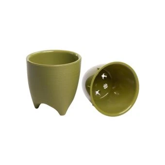 горшок папоротник