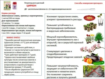 Циркон 1л (НэстМ) (3)